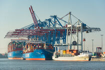 Large container vessels and harbour facilities at a the Tollerort container terminal in the port area of Hamburg, Germany