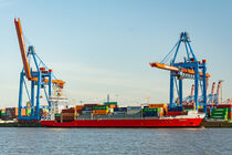 Container vessel and harbour facilities at a the Burchardkai container terminal in the port area of Hamburg, Germany von caladoart
