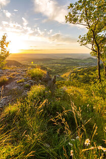 Scenic sunset over typical mountain flora on a rock ledge in the Swabian Jura in Southern Germany by caladoart