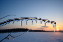 Ast mit Eiszapfen vor Winterlandschaft und Sonnenuntergang