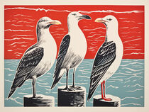 Drei Möwen am Roten Meer | Three Seagulls at the Red Sea von Frank Daske