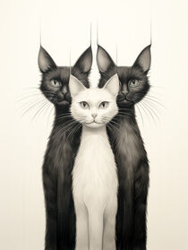 Katzen No.7 by Bettina Dittmann