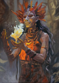 Flame Shaman: Rituals of Fire by Cornelia Es Said