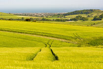 South Downs Lines by Malc McHugh