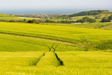 South-downs-lines