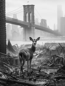 Traum von New York City | Dreaming Of New York City by Frank Daske