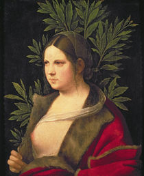 Portrait of a Young Woman  by Giorgione
