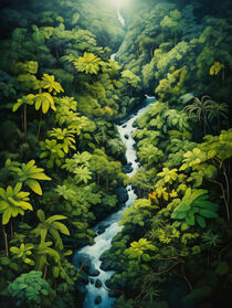 Grün fürs Büro: Über dem Regenwald | Above the Rainforest by Frank Daske