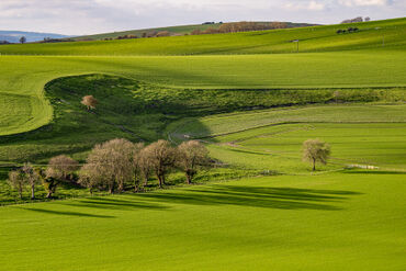South-downs-green