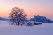 Winterabend by Thomas Matzl