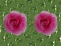Filigrane rosa Rosen auf grünem Relief