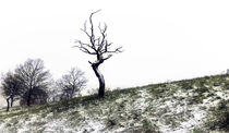 Winterreise by Andrea Kasper
