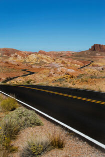 Valley of Fire High Way by David Hare
