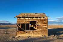 Apple Valley Shack by David Hare