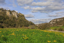 Frühlingswiese bei Langenbrunn mit Blick auf Schloss Werenwag - Naturpark Obere Donau von Christine Horn