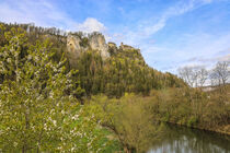 Die Donau bei Langenbrunn mit Blick auf Schloss Werenwag - Naturpark Obere Donau von Christine Horn