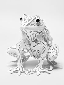 Der Kirigami Frosch | The Kirigami Frog by Frank Daske
