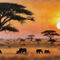 Serengeti-landscape