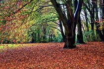 Herbstlandschaft by Edgar Schermaul