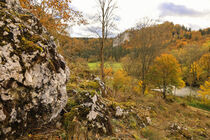 Herbstliche Landschaft bei Fridingen an der Donau - Naturpark Obere Donau by Christine Horn
