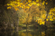 Herbstliche Uferlandschaft Donau mit moosüberwachsenen Kalksteinfelsen im Naturpark Obere Donau von Christine Horn