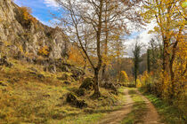 Wanderweg unterhalb der Kalksteinfelsen bei Fridingen an der Donau im Naturpark Obere Donau von Christine Horn