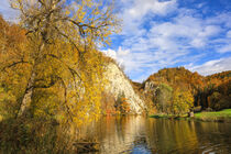 Das Donaudurchbruchstal bei Fridingen an der Donau in herbstlichen Farben - Naturpark Obere Donau by Christine Horn