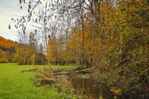 Herbstliches Lippachtal bei Mühlheim an der Donau - Naturpark Obere Donau von Christine Horn