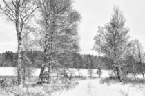 Winterstimmung im verschneiten Irndorfer Hardt - Naturpark Obere Donau by Christine Horn