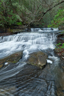 Lower Piney Falls 25 by Phil Perkins