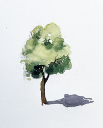 Baum by Sonja Jannichsen