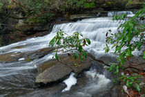 Lower Piney Falls 27 von Phil Perkins