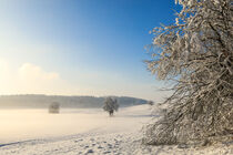 'Winterliche Schneelandschaft mit Hochstand bei Stockach im Hegau' von Christine Horn