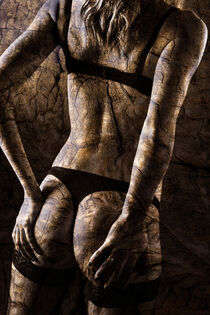 Wooden Body von David Hare