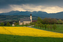 Bavarian church with yellow field and Alp mountains