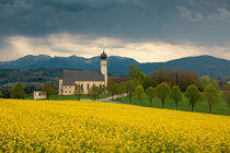 'Bavarian church with yellow field and Alp mountains' by Bastian Linder
