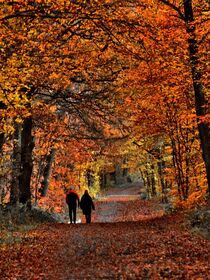 'Herbstspaziergang' von Edgar Schermaul