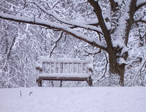 Winter Bench by Phil Perkins