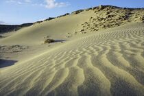 Sandy Desert 3 by Juergen Seidt