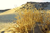 Sandy Desert 4 by Juergen Seidt