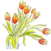 Tulpen / tulips