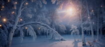 Winter Wonderland von m-j-artgallery