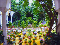 SEVILLA.  Blumenparadies im Innenhof - ein traditionelles sevillanisches Haus. by li-lu