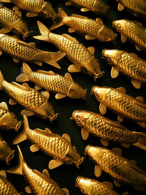 Goldbarren als Koi Karpfen | Gold Bars as Koi Fishes von Frank Daske