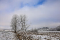 Winter im Heudorfer Ried bei Eigeltingen im Hegau von Christine Horn