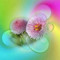'Bellis on texture' by flowersforyou