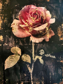 Vintage Rose mit Gold | Vintage Rose with Gold von Frank Daske