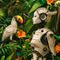 Female-robot-in-henri-rousseau-jungle-u-6600