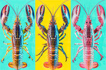 Drei Pop Art Hummer für deine Küche | Three Pop Art Lobster for your Kitchen von Frank Daske