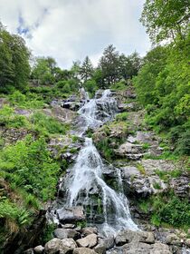 Wasserfall im Schwarzwald von Dieter Stahl